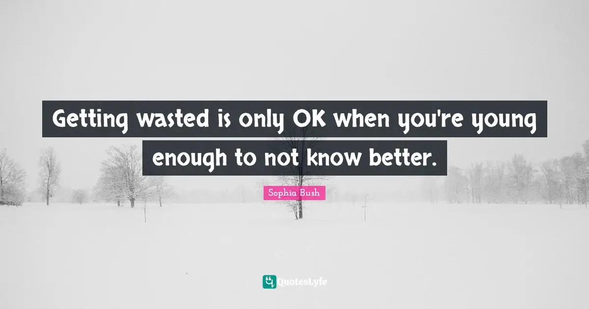 Sophia Bush Quotes: "Getting wasted is only OK when you're young enough to not know better."