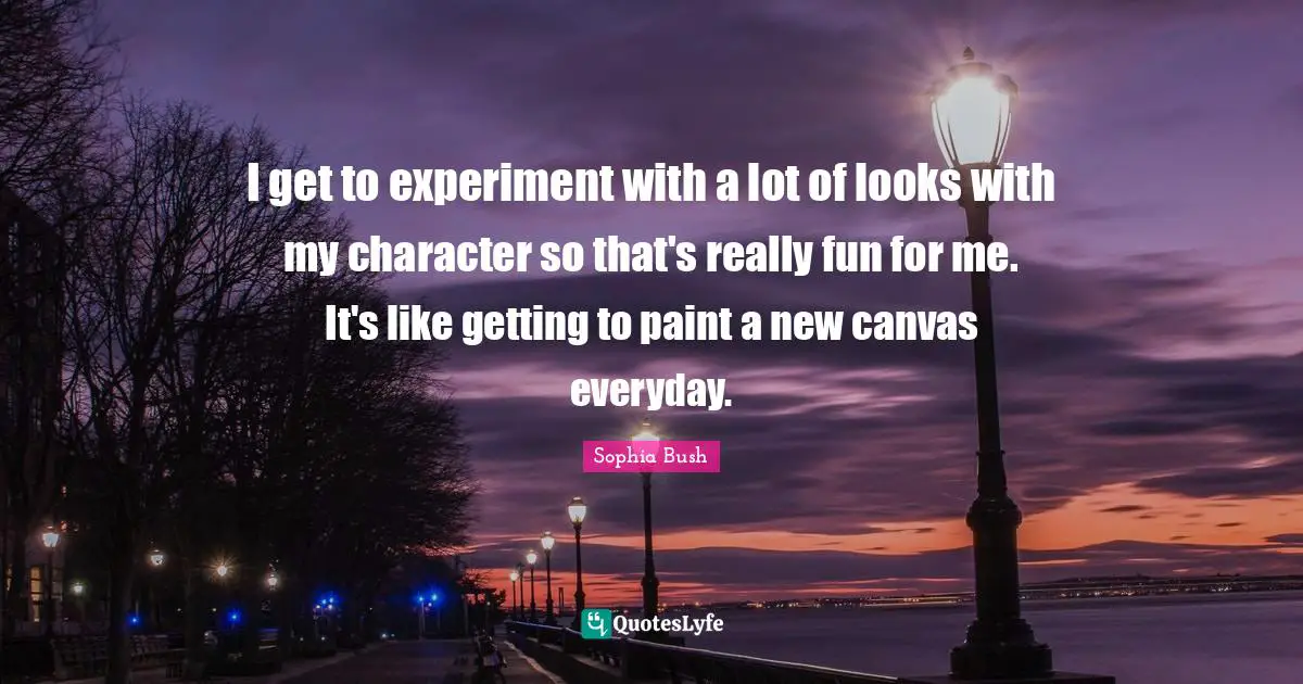 Sophia Bush Quotes: "I get to experiment with a lot of looks with my character so that's really fun for me. It's like getting to paint a new canvas everyday."