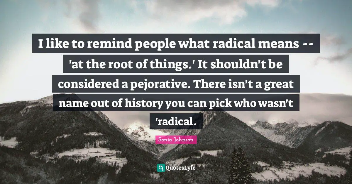 I like to remind people what radical means -- 'at the root of things.' It shouldn't be considered a pejorative. There isn't a great name out of history you can pick who wasn't 'radical.