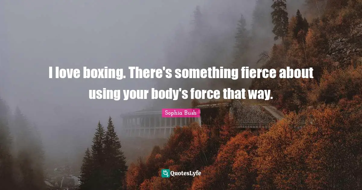 I love boxing. There's something fierce about using your body's force that way.