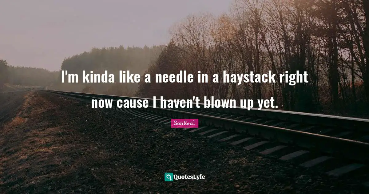 I'm kinda like a needle in a haystack right now cause I haven't blown up yet.