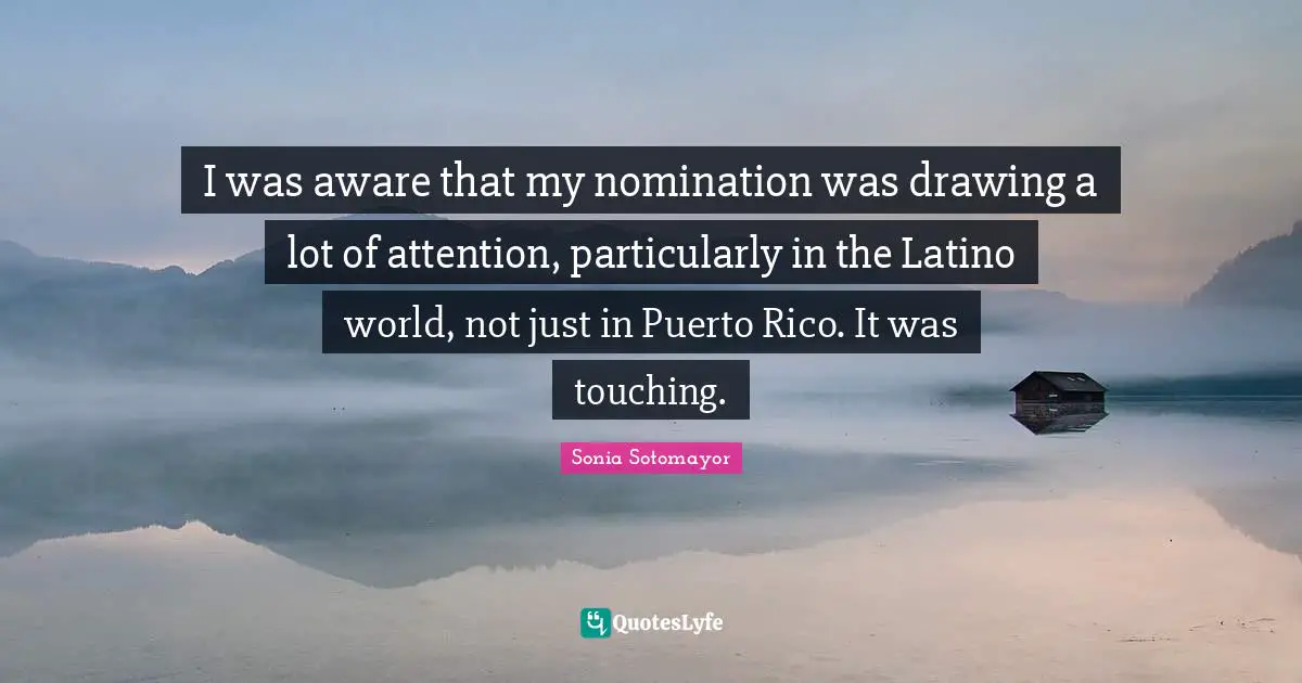 I was aware that my nomination was drawing a lot of attention, particularly in the Latino world, not just in Puerto Rico. It was touching.