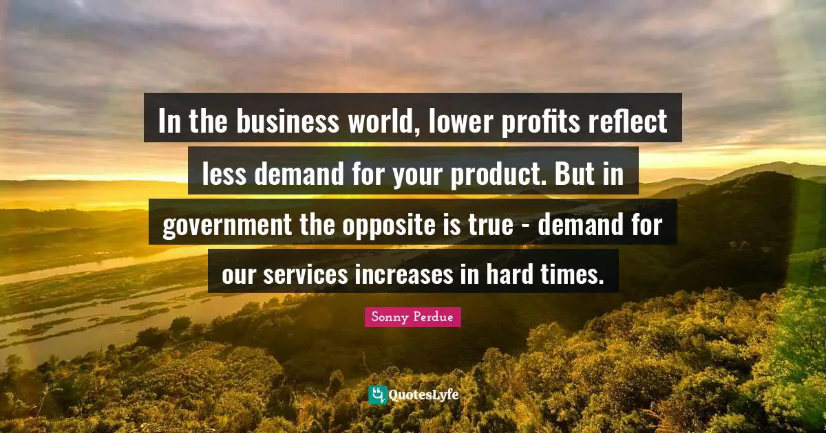 In the business world, lower profits reflect less demand for your product. But in government the opposite is true - demand for our services increases in hard times.