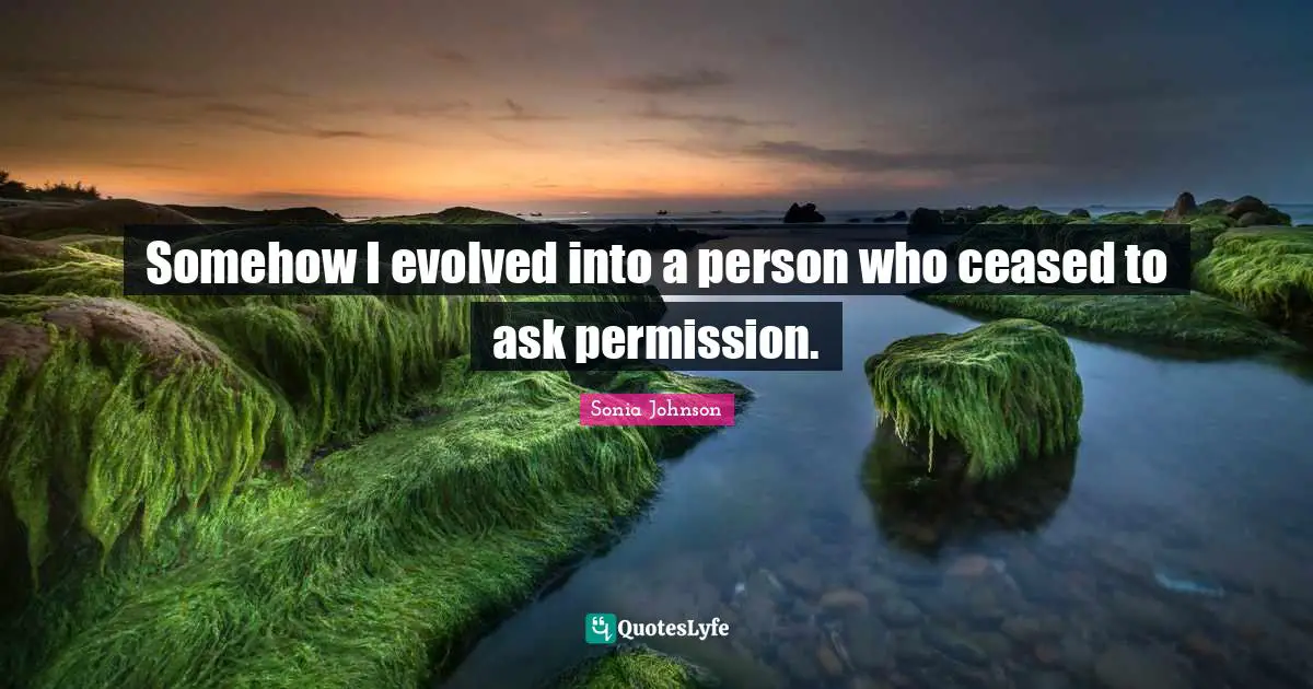 Somehow I evolved into a person who ceased to ask permission.