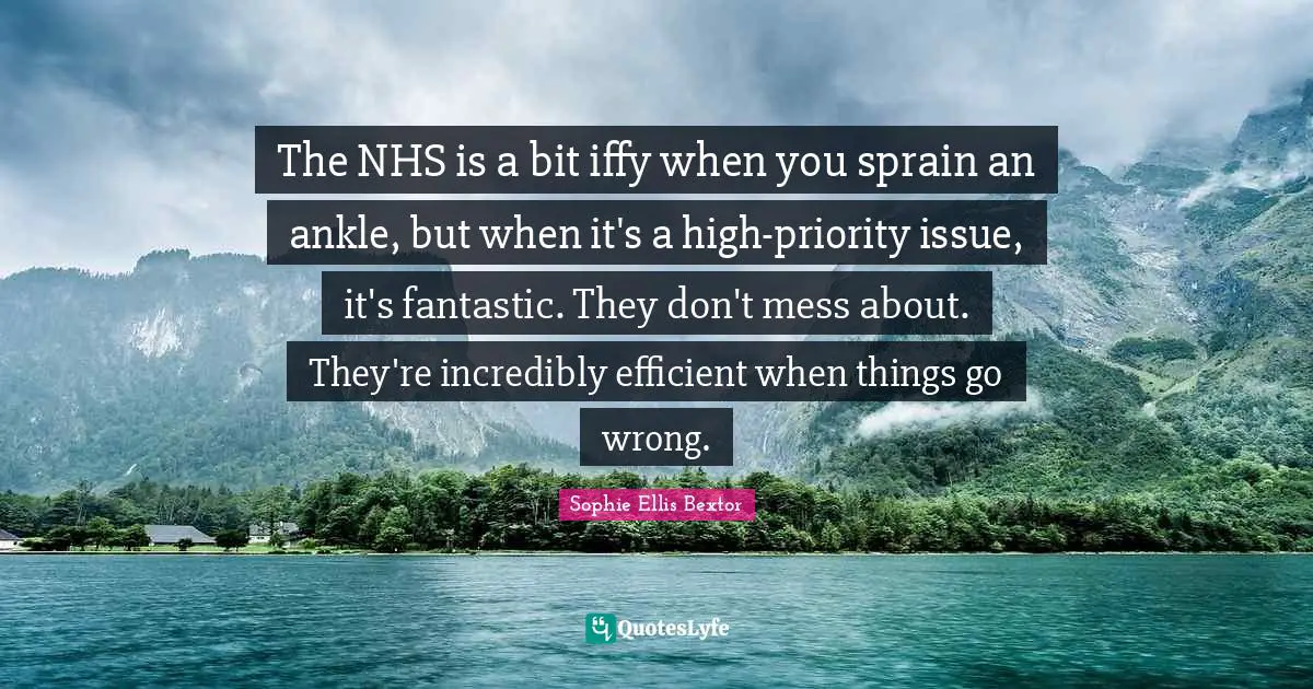 When Things Go Wrong Quotes: "The NHS is a bit iffy when you sprain an ankle, but when it's a high-priority issue, it's fantastic. They don't mess about. They're incredibly efficient when things go wrong."