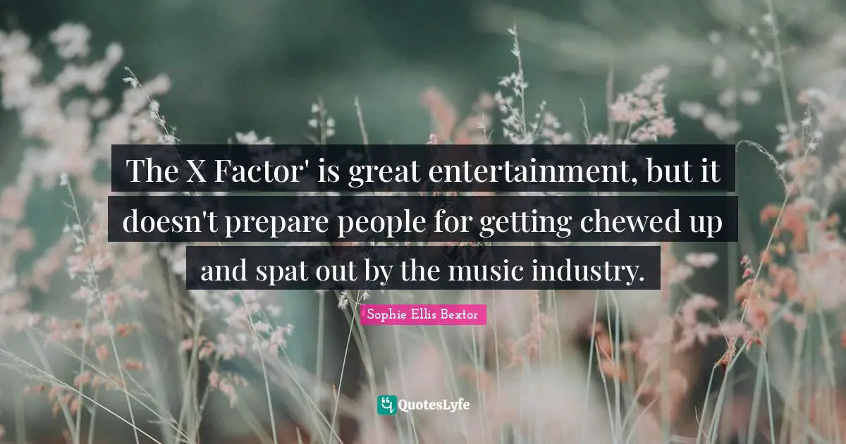 The X Factor' is great entertainment, but it doesn't prepare people for getting chewed up and spat out by the music industry.