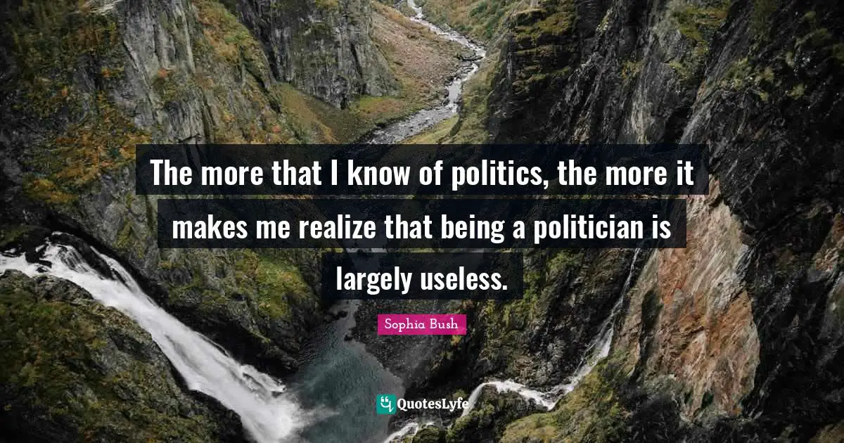 The more that I know of politics, the more it makes me realize that being a politician is largely useless.