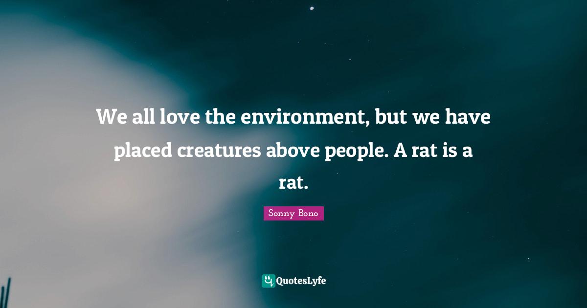 We all love the environment, but we have placed creatures above people. A rat is a rat.