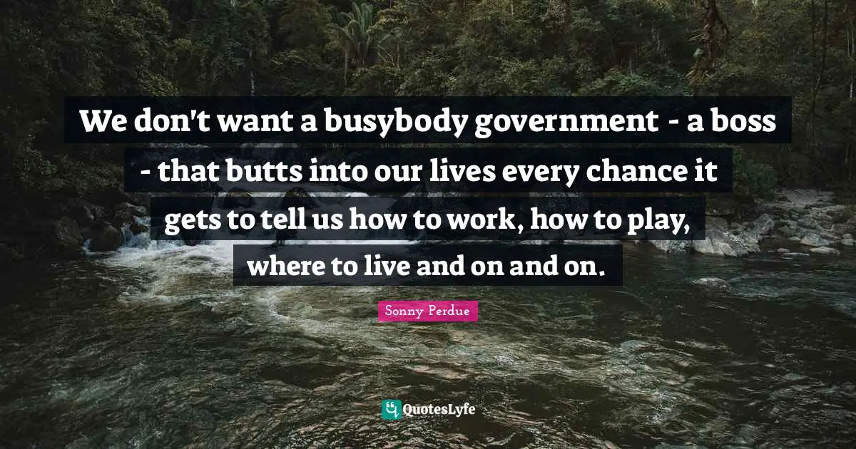 We don't want a busybody government - a boss - that butts into our lives every chance it gets to tell us how to work, how to play, where to live and on and on.