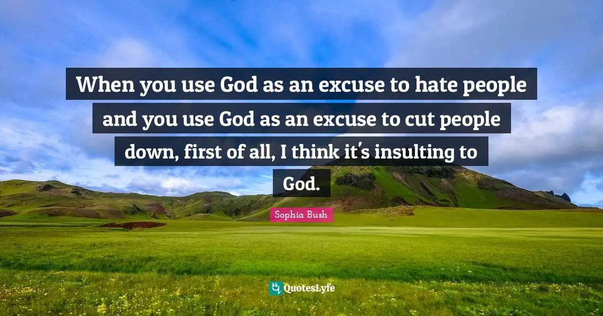 Sophia Bush Quotes: "When you use God as an excuse to hate people and you use God as an excuse to cut people down, first of all, I think it's insulting to God."