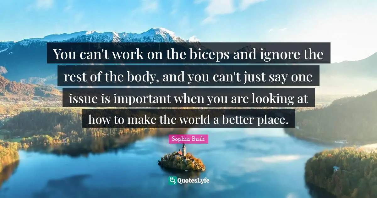 Sophia Bush Quotes: "You can't work on the biceps and ignore the rest of the body, and you can't just say one issue is important when you are looking at how to make the world a better place."