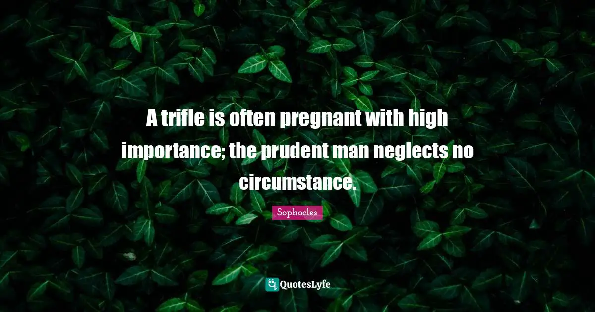 A trifle is often pregnant with high importance; the prudent man neglects no circumstance.