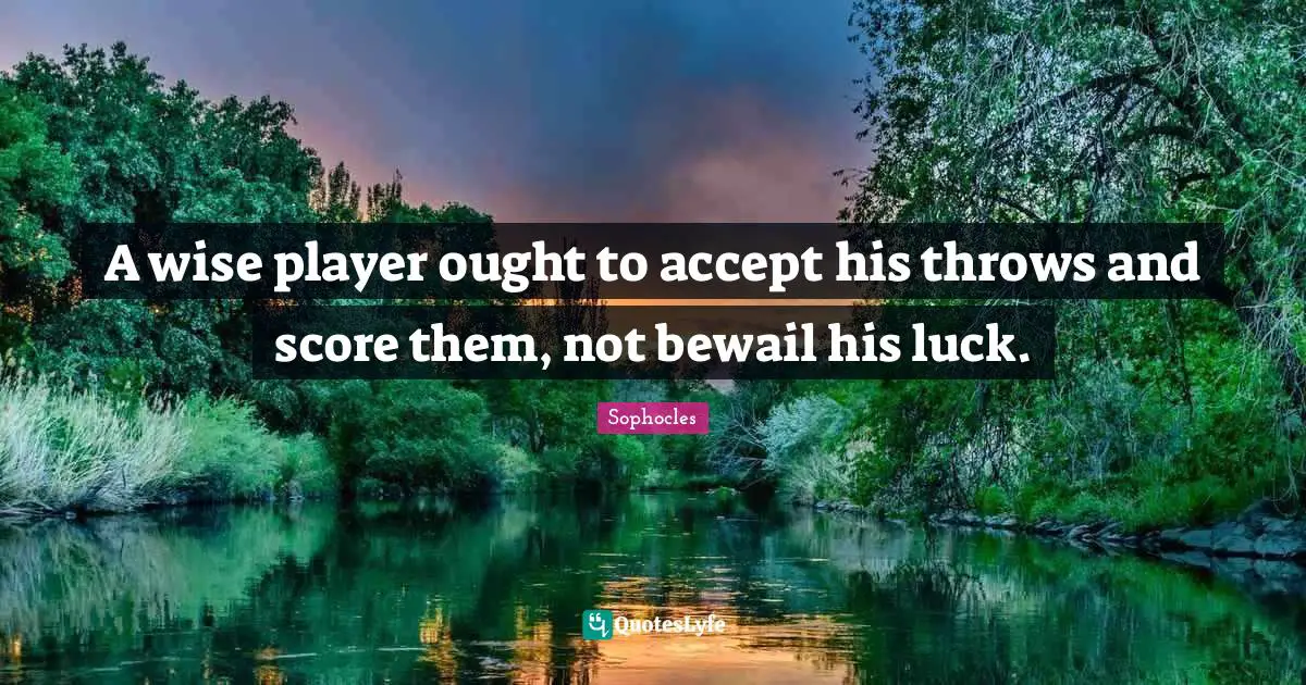 A wise player ought to accept his throws and score them, not bewail his luck.