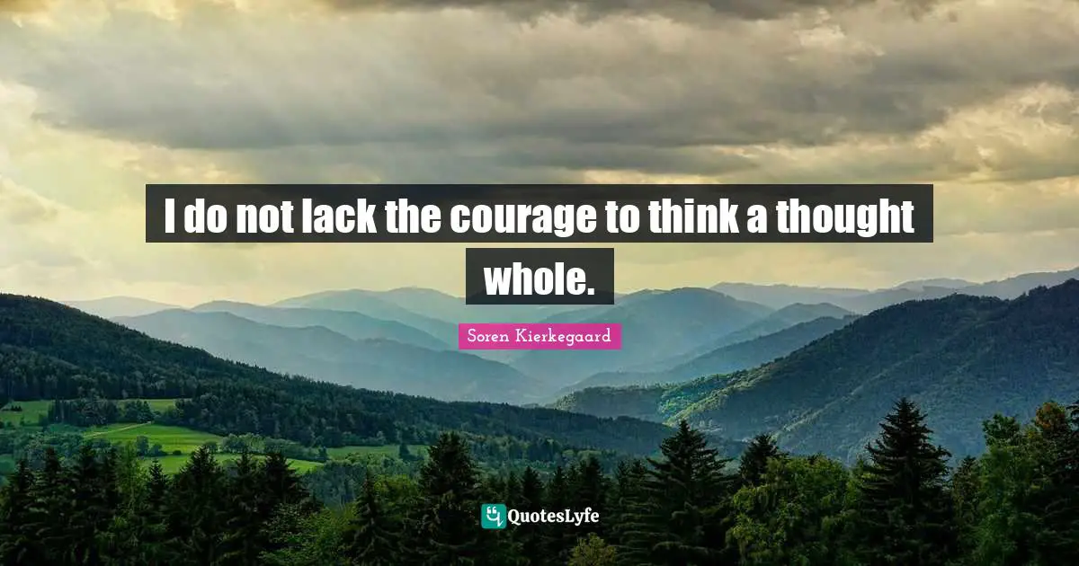 I do not lack the courage to think a thought whole.
