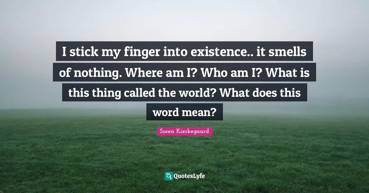 I stick my finger into existence.. it smells of nothing. Where am I? Who am I? What is this thing called the world? What does this word mean?