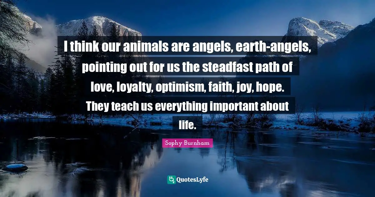 Steadfast Quotes: "I think our animals are angels, earth-angels, pointing out for us the steadfast path of love, loyalty, optimism, faith, joy, hope. They teach us everything important about life."
