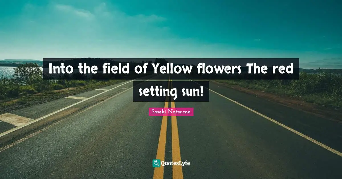 Into the field of Yellow flowers The red setting sun!