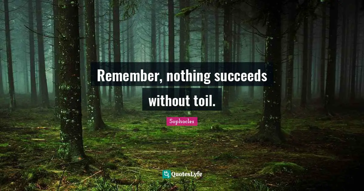 Remember, nothing succeeds without toil.