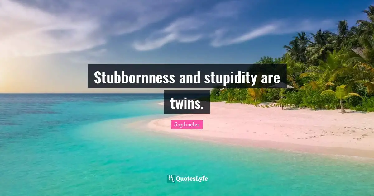 Stubbornness and stupidity are twins.