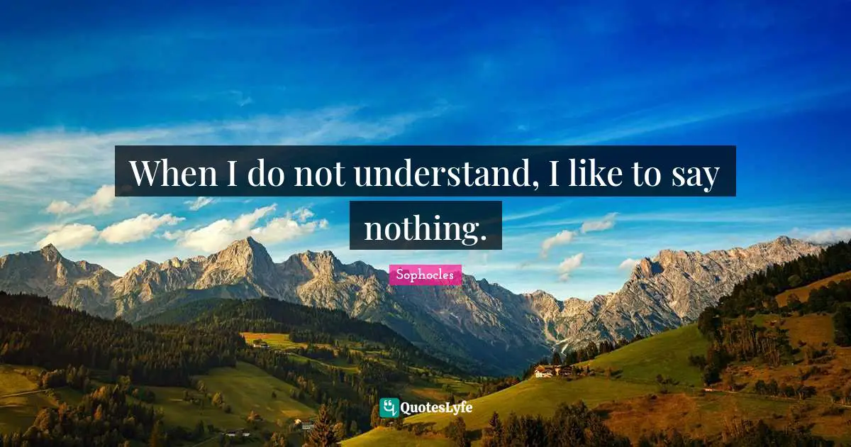 When I do not understand, I like to say nothing.
