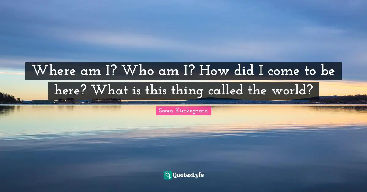 Where am I? Who am I? How did I come to be here? What is this thing called the world?