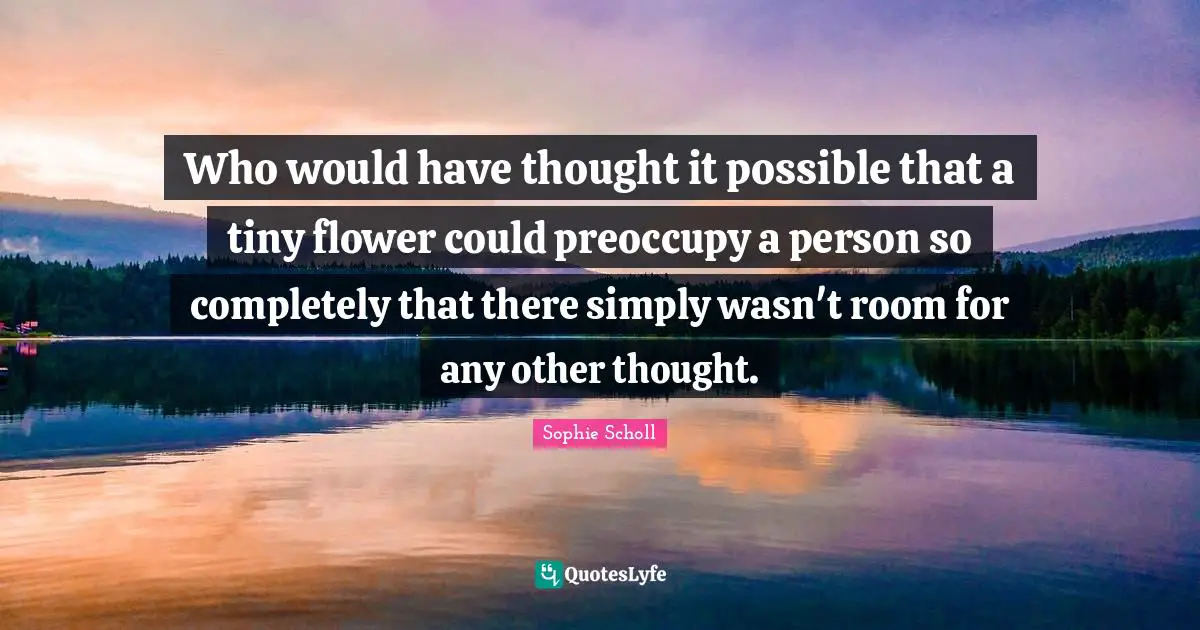 Who would have thought it possible that a tiny flower could preoccupy a person so completely that there simply wasn't room for any other thought.