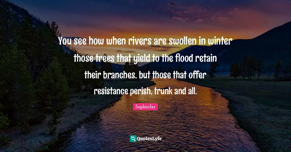 You see how when rivers are swollen in winter those trees that yield to the flood retain their branches, but those that offer resistance perish, trunk and all.