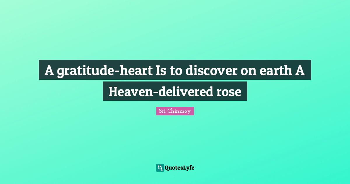 A gratitude-heart Is to discover on earth A Heaven-delivered rose