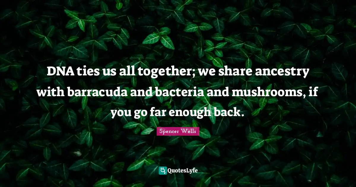 DNA ties us all together; we share ancestry with barracuda and bacteria and mushrooms, if you go far enough back.