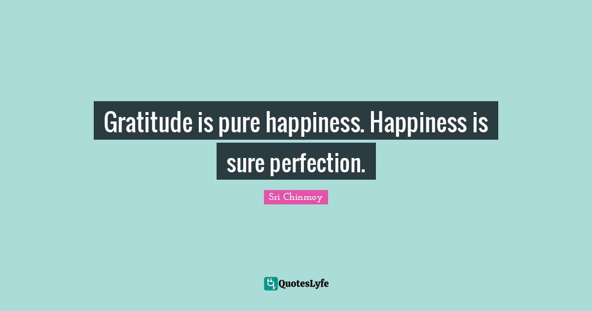 Gratitude is pure happiness. Happiness is sure perfection.