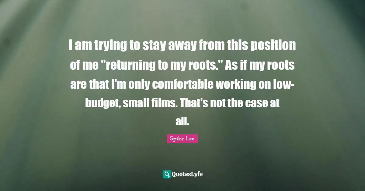 I am trying to stay away from this position of me "returning to my roots." As if my roots are that I'm only comfortable working on low-budget, small films. That's not the case at all.
