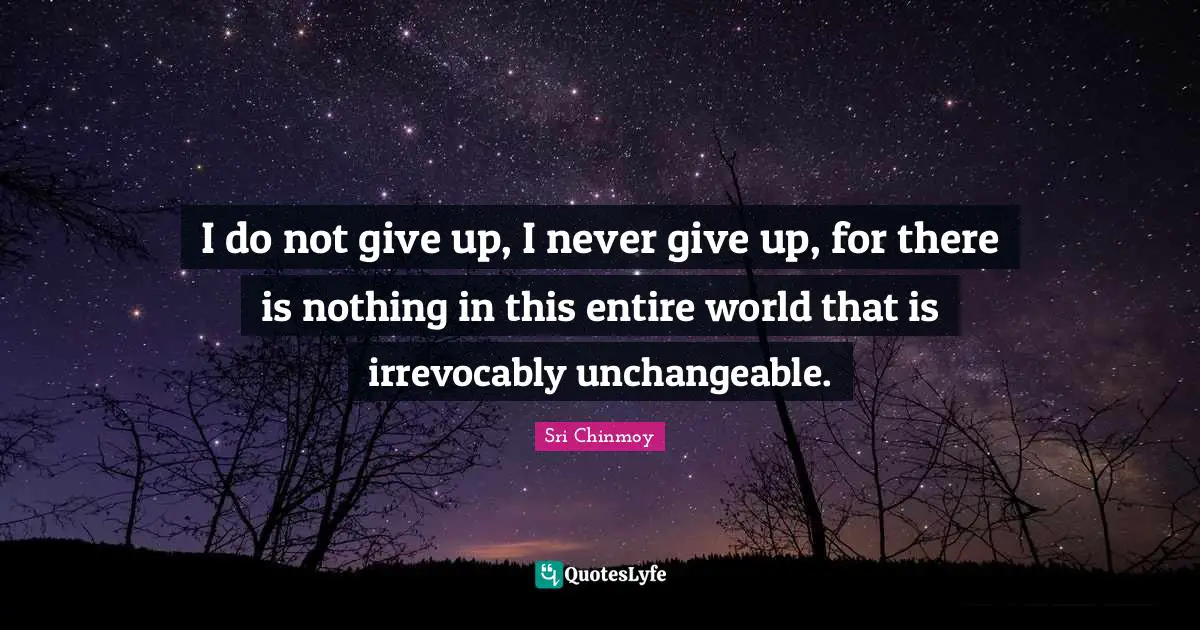 Never Give Up Quotes: "I do not give up, I never give up, for there is nothing in this entire world that is irrevocably unchangeable."