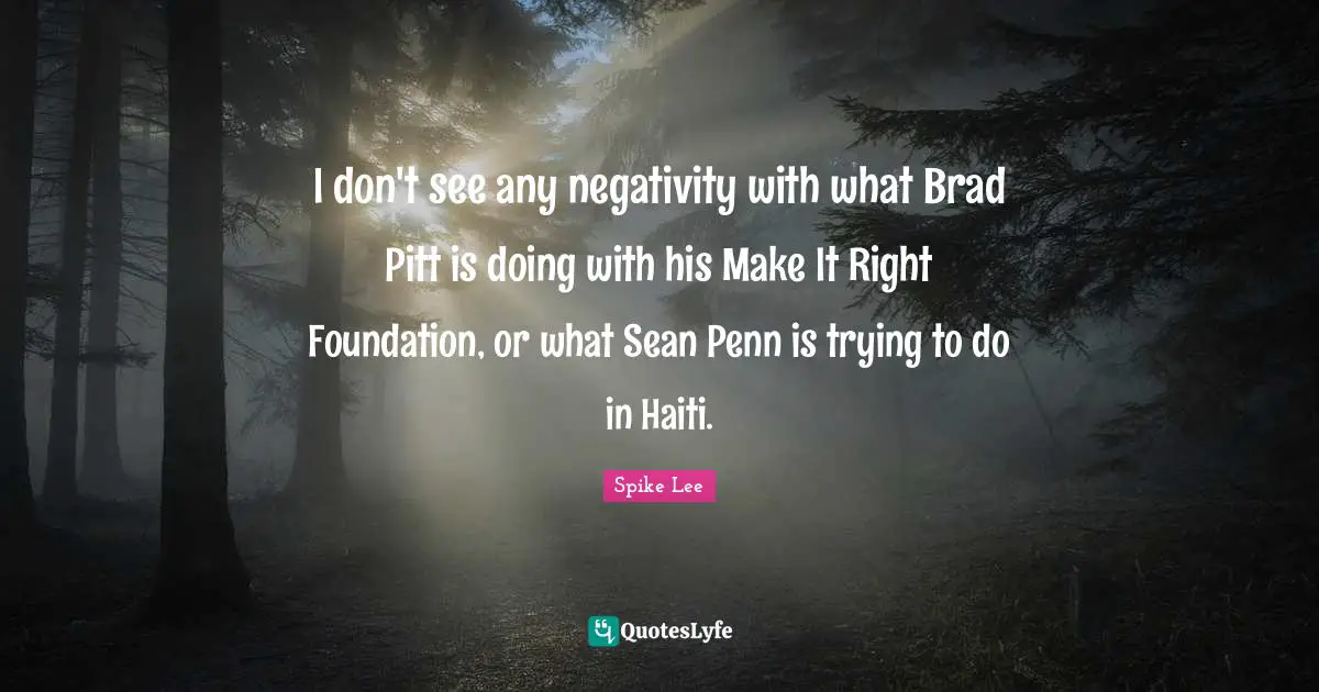 I don't see any negativity with what Brad Pitt is doing with his Make It Right Foundation, or what Sean Penn is trying to do in Haiti.