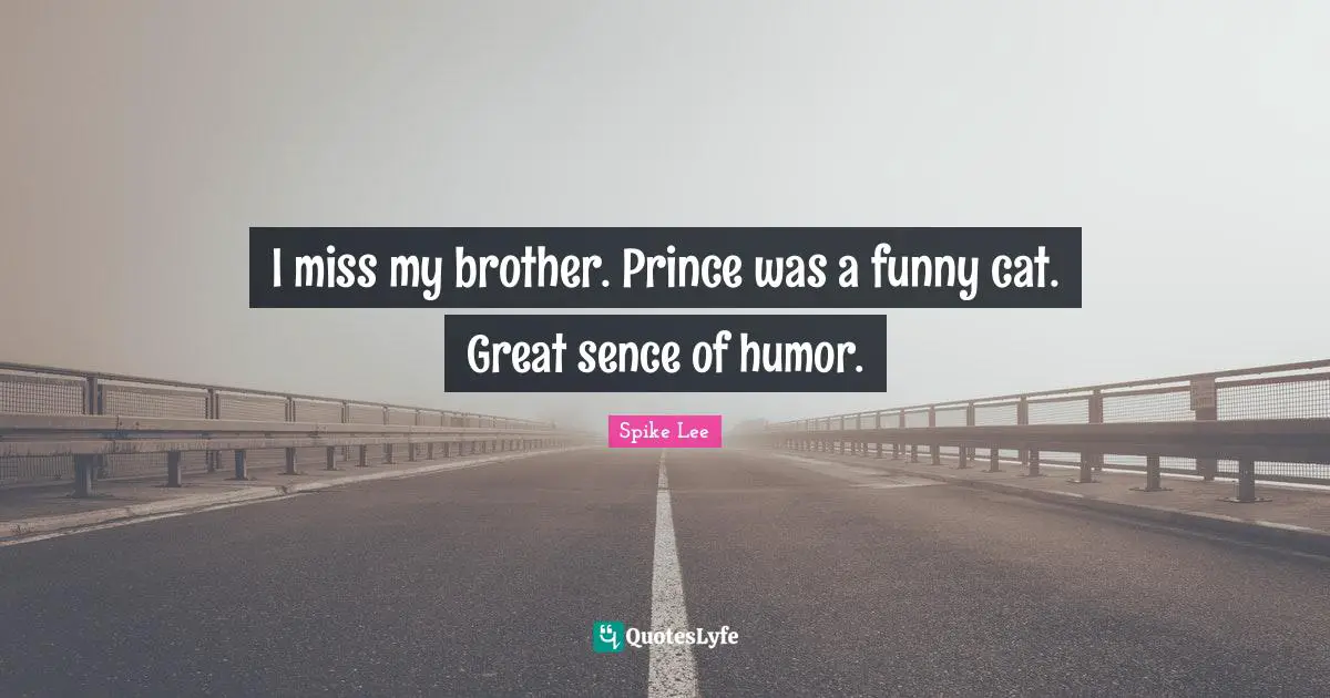 I miss my brother. Prince was a funny cat. Great sence of humor.