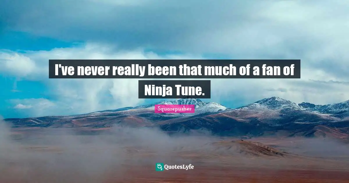 I've never really been that much of a fan of Ninja Tune.