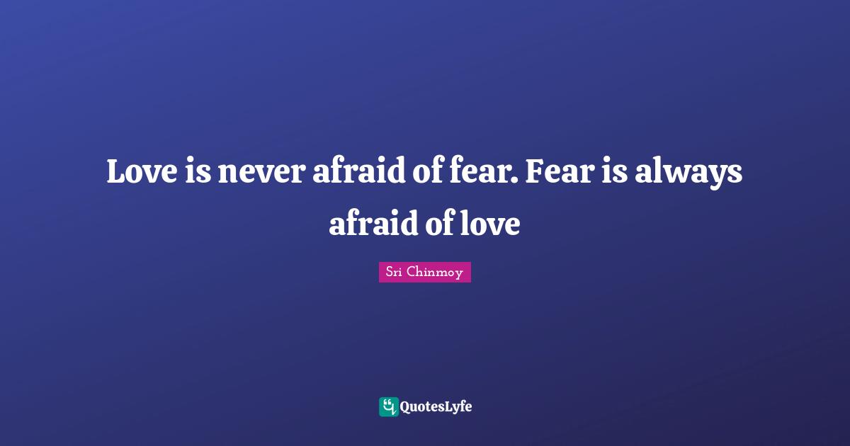 Afraid To Love Quotes: "Love is never afraid of fear. Fear is always afraid of love"