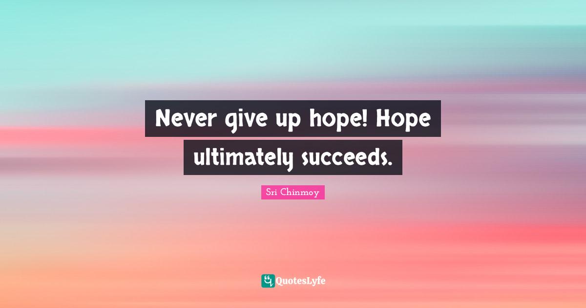 Never Give Up Quotes: "Never give up hope! Hope ultimately succeeds."