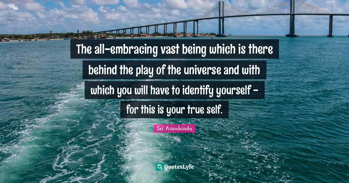 True Self Quotes: "The all-embracing vast being which is there behind the play of the universe and with which you will have to identify yourself - for this is your true self."