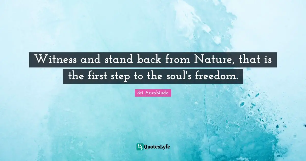 Witness and stand back from Nature, that is the first step to the soul's freedom.