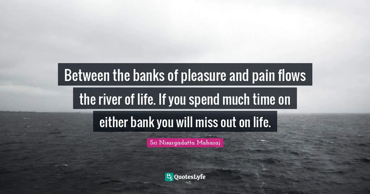 Between the banks of pleasure and pain flows the river of life. If you spend much time on either bank you will miss out on life.