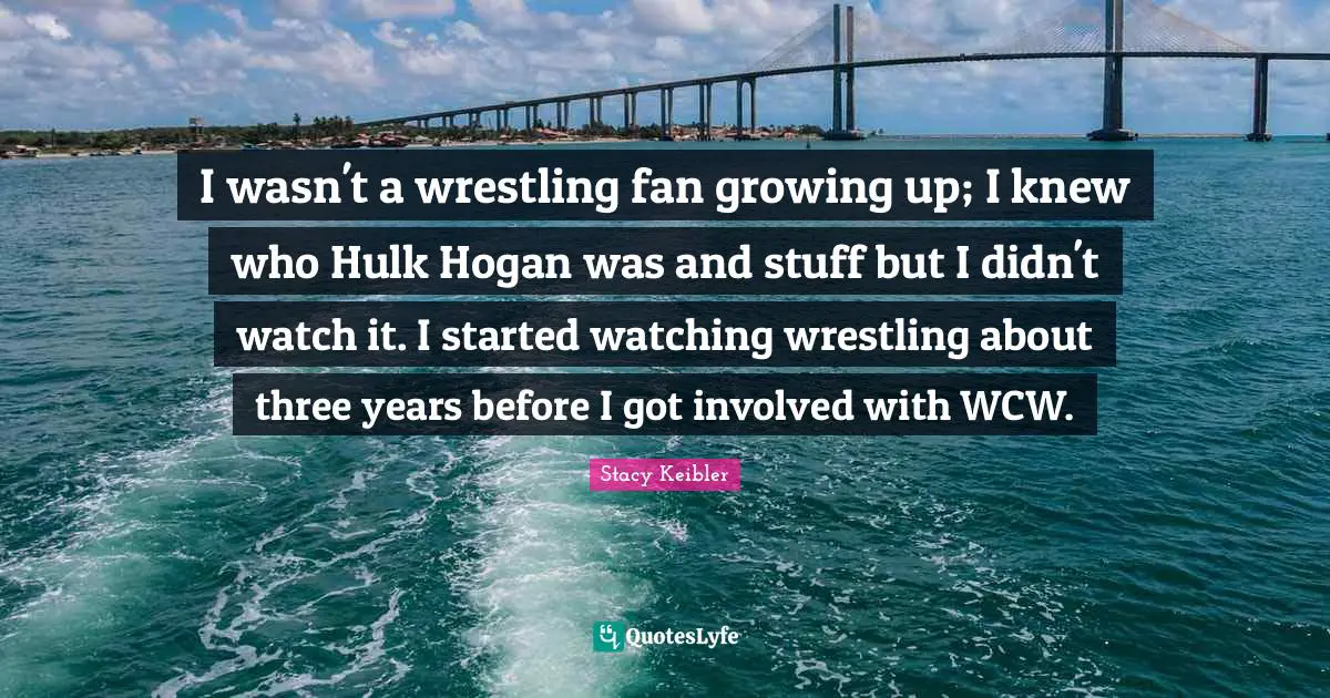 I wasn't a wrestling fan growing up; I knew who Hulk Hogan was and stuff but I didn't watch it. I started watching wrestling about three years before I got involved with WCW.