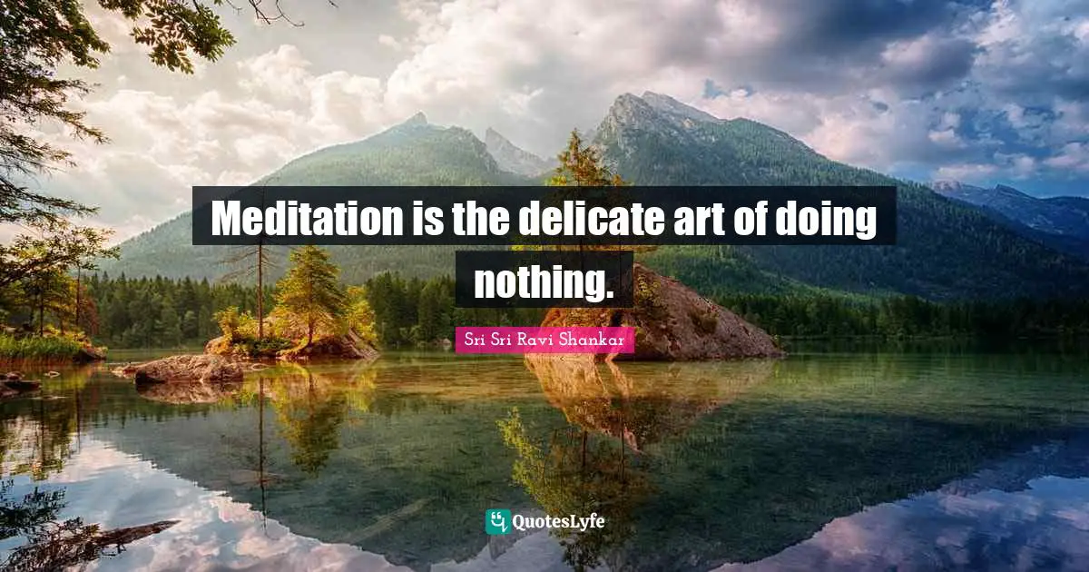 Meditation is the delicate art of doing nothing.