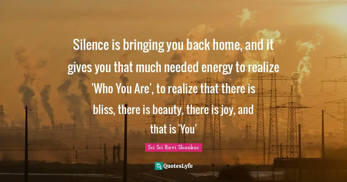 Silence is bringing you back home, and it gives you that much needed energy to realize 'Who You Are', to realize that there is bliss, there is beauty, there is joy, and that is 'You'