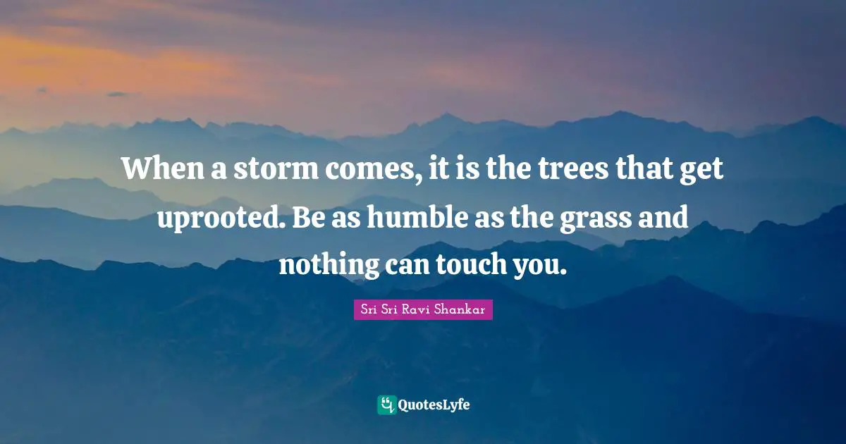 I.R. Shankar Quotes: "When a storm comes, it is the trees that get uprooted. Be as humble as the grass and nothing can touch you."