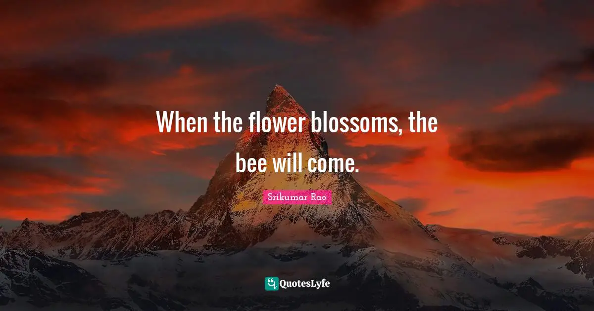 V.V. Rao Quotes: "When the flower blossoms, the bee will come."