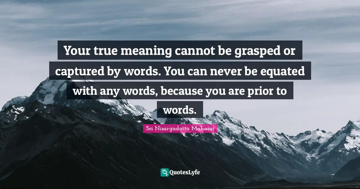 True Meaning Quotes: "Your true meaning cannot be grasped or captured by words. You can never be equated with any words, because you are prior to words."
