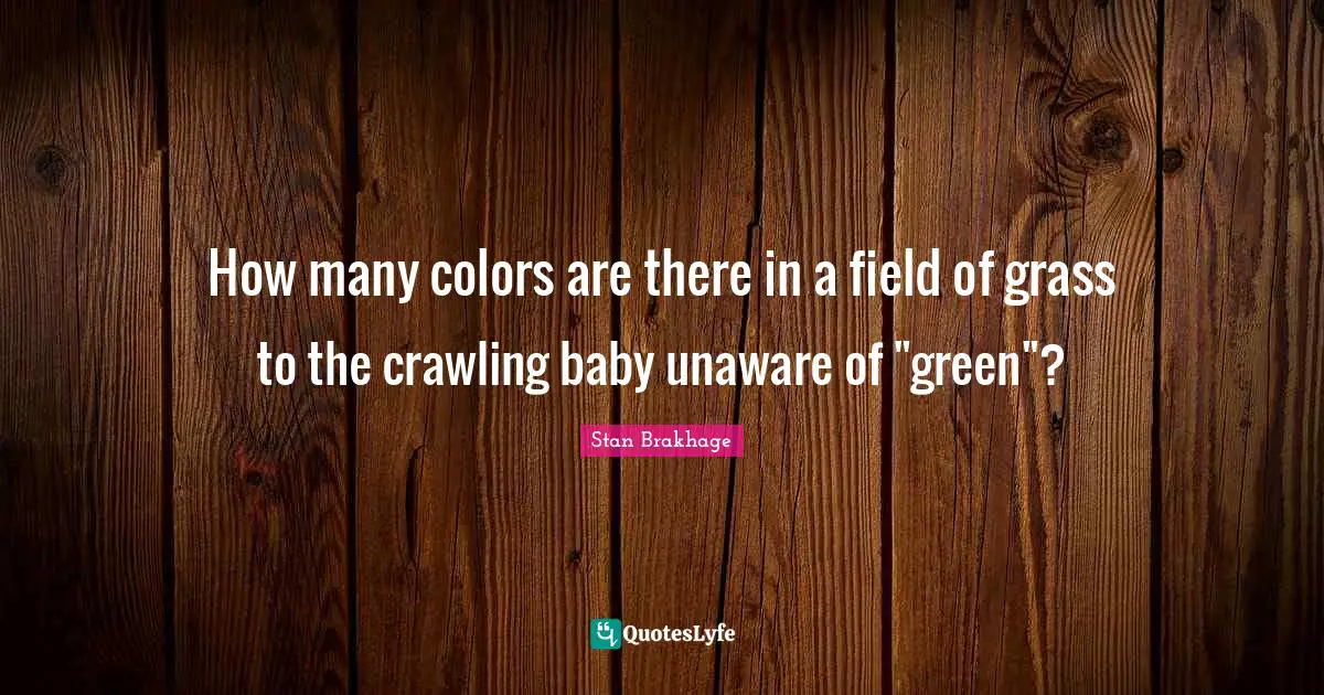 How many colors are there in a field of grass to the crawling baby unaware of "green"?