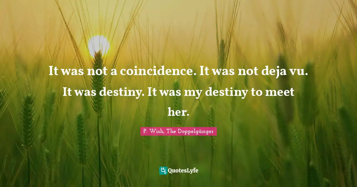 It was not a coincidence. It was not deja vu. It was destiny. It was my destiny to meet her.