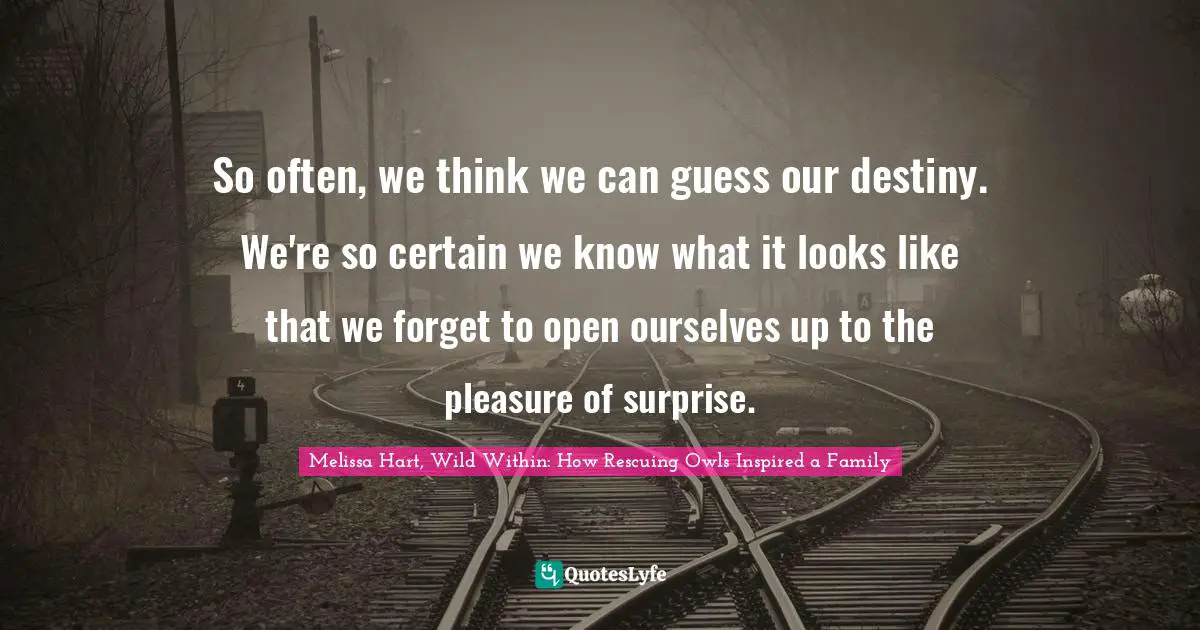 So often, we think we can guess our destiny. We're so certain we know what it looks like that we forget to open ourselves up to the pleasure of surprise.