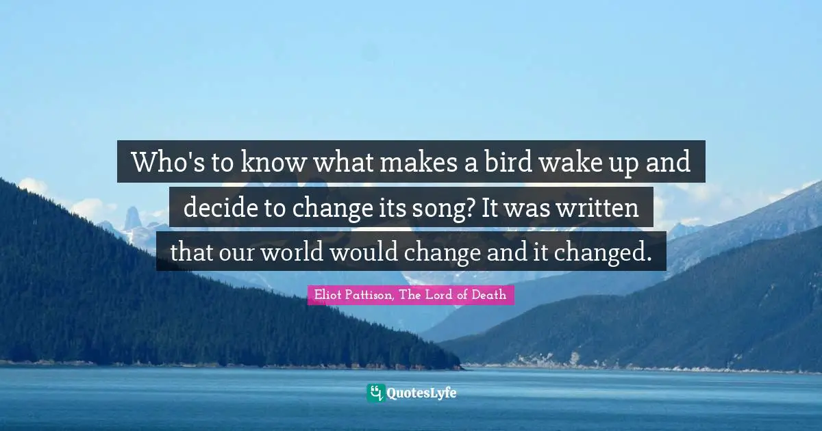 Who's to know what makes a bird wake up and decide to change its song? It was written that our world would change and it changed.